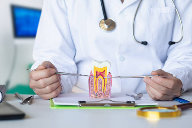 Best Orthodontic Emergency Dentist in North Rock Springs, WY